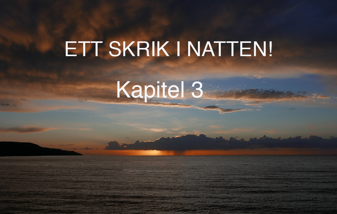 ett_skrik_i_natten_kap3