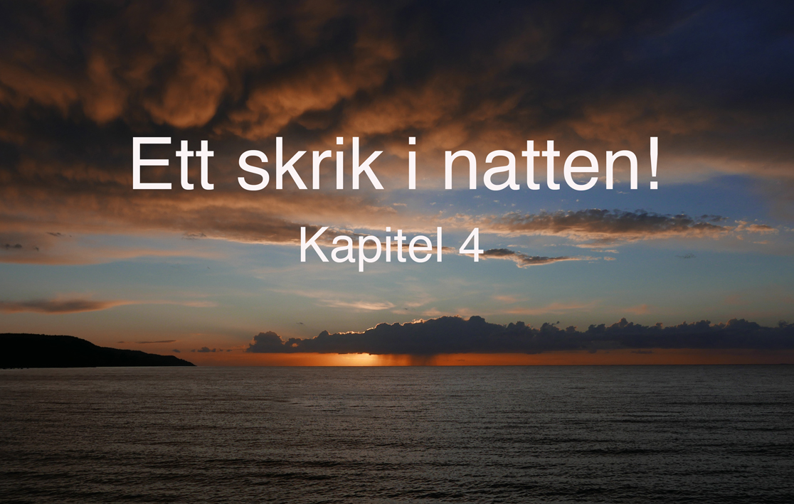 ett_skrik_i_natten_kap4