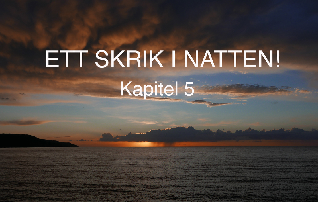 ettskrikinattenkap5small