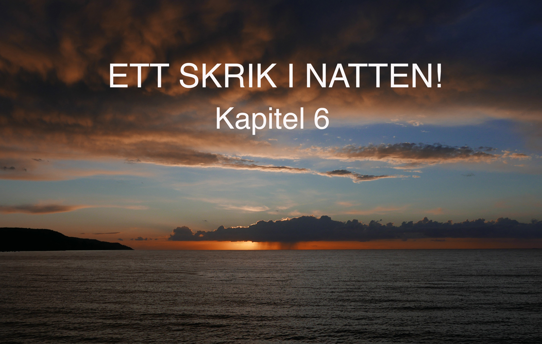 ettskrikinatten_kap6