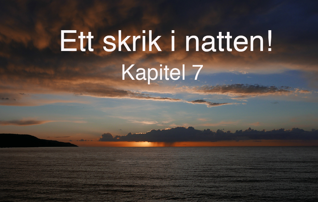 ettskrikinatten.kap7.small