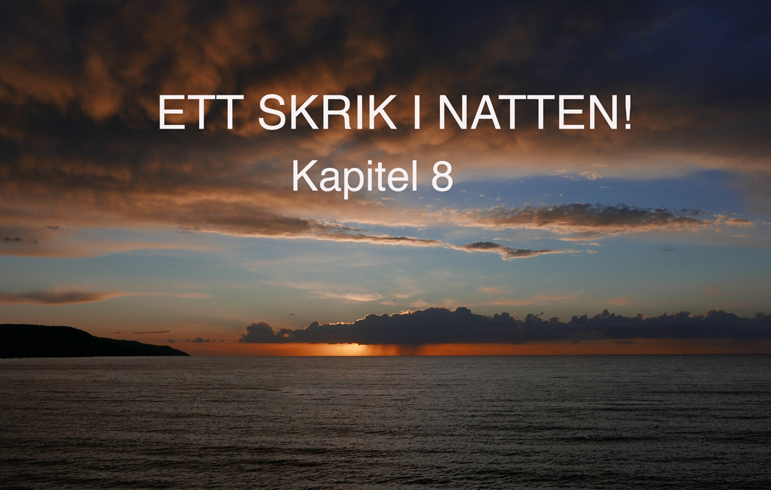 ettskrikinattenkap8