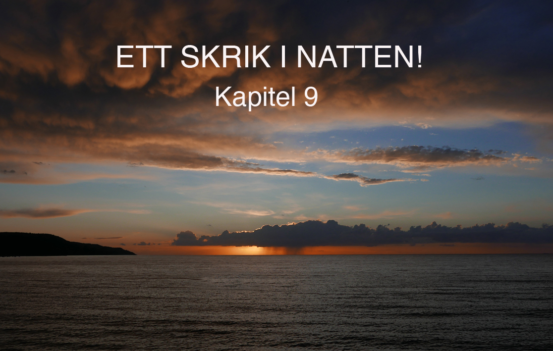 ett.skrik.inatten.kap.9.small